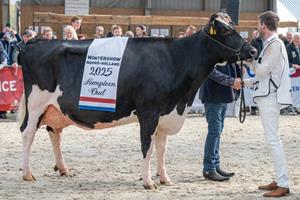 Moos 172 kl