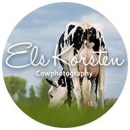 logo Els Korsten