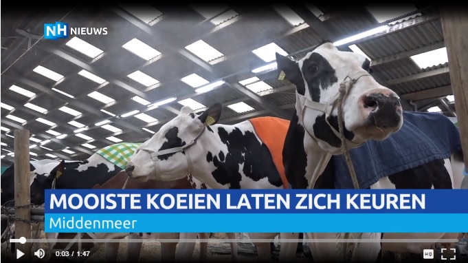 video NH Nieuws