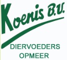 logo Koenis