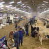 Wintershow_NH_2005_04