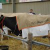 Wintershow_NH_2006_08