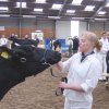 Wintershow_NH_2006_20