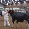 Wintershow_NH_2006_27