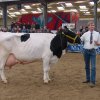 Wintershow_NH_2006_64