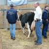 Wintershow_NH_2007_60