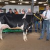 Wintershow_NH_2008_055