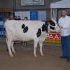 Wintershow_NH_2008_067