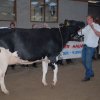 Wintershow_NH_2008_069