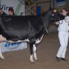 Wintershow_NH_2008_072