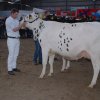 Wintershow_NH_2008_076