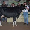 Wintershow_NH_2008_082