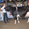 Wintershow_NH_2009_011
