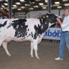 Wintershow_NH_2009_013
