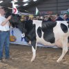 Wintershow_NH_2009_042