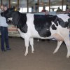 Wintershow_NH_2009_055