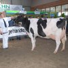 Wintershow_NH_2009_061