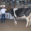 Wintershow_NH_2009_067