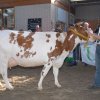 Wintershow_NH_2009_080