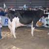 Wintershow_NH_2009_081