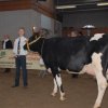 Wintershow_NH_2011_001