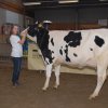 Wintershow_NH_2011_004