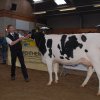 Wintershow_NH_2011_006