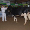 Wintershow_NH_2011_014