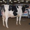 Wintershow_NH_2011_023