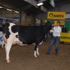 Wintershow_NH_2011_039