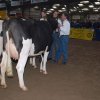 Wintershow_NH_2011_041