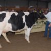Wintershow_NH_2011_047
