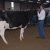Wintershow_NH_2011_050