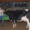 Wintershow_NH_2011_051