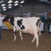 Wintershow_NH_2011_071