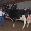 Wintershow_NH_2011_075