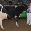 Wintershow_NH_2011_081