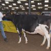 Wintershow_NH_2011_091