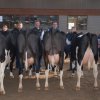 Wintershow_NH_2011_123