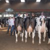 Wintershow_NH_2011_125