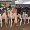 Wintershow_NH_2011_131