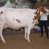 Wintershow_NH_2013_091
