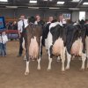 Wintershow_NH_2013_111