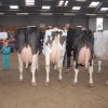 Wintershow_NH_2013_114