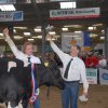 Wintershow_NH_2013_126