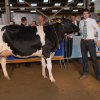 Wintershow_NH_2014_001