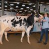 Wintershow_NH_2014_005