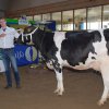 Wintershow_NH_2014_010