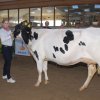 Wintershow_NH_2014_013