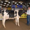 Wintershow_NH_2014_015